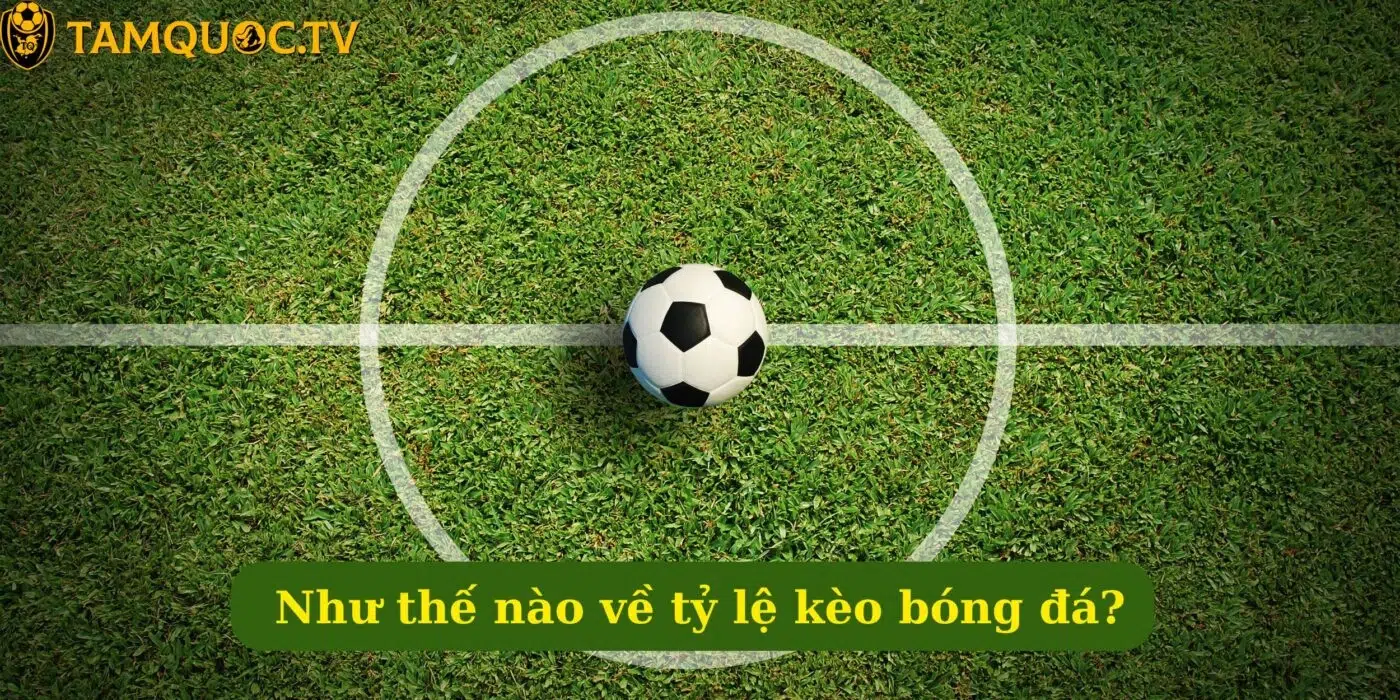 Bạn hiểu như thế nào về tỷ lệ kèo bóng đá?