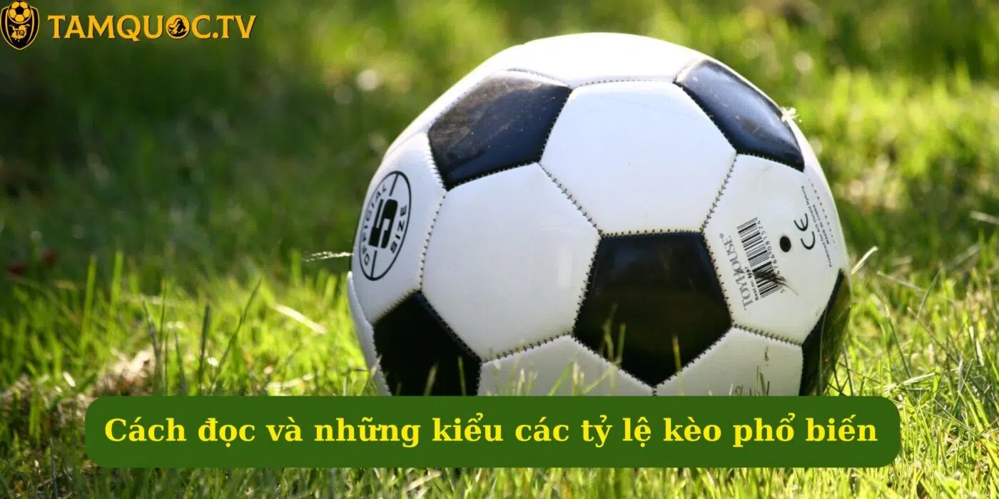 Cách đọc và những kiểu các tỷ lệ kèo phổ biến
