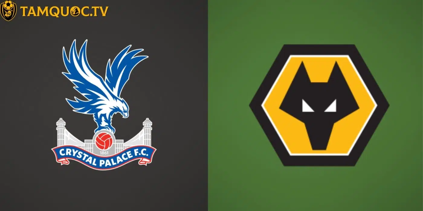 Crystal Palace chuẩn bị tiếp đón Wolverhampton Wanderers trên sân nhà Selhurst Park