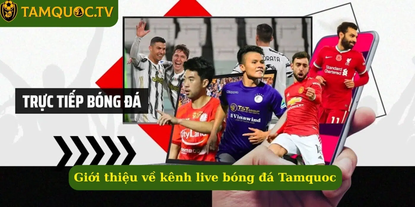Giới thiệu về kênh live bóng đá Tamquoc