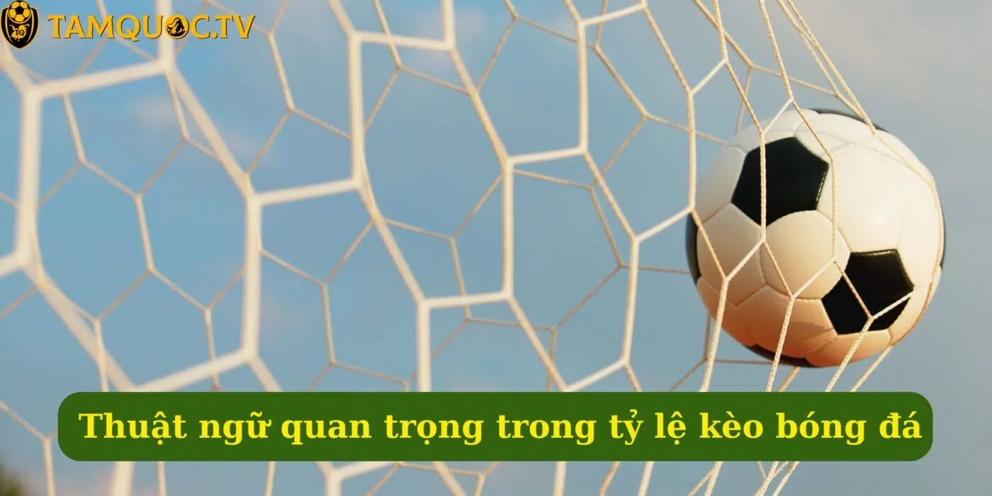 Thuật ngữ quan trọng trong tỷ lệ kèo bóng đá